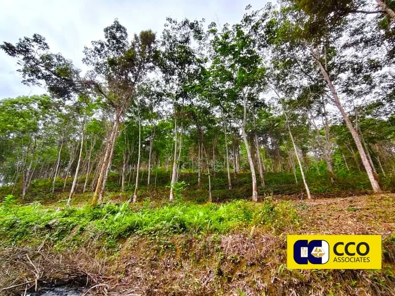 Agricultural Land for Sale in Kampung Baru Sauk (Chegar Galah) - Chris Chin - Exterior - PropertyGuru.com.my