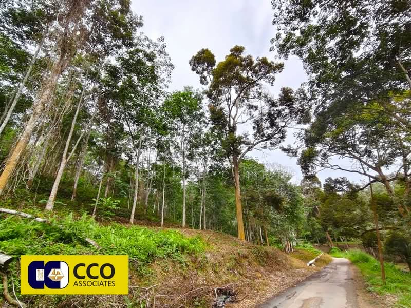 Agricultural Land for Sale in Kampung Baru Sauk (Chegar Galah) - Chris Chin - Exterior - PropertyGuru.com.my