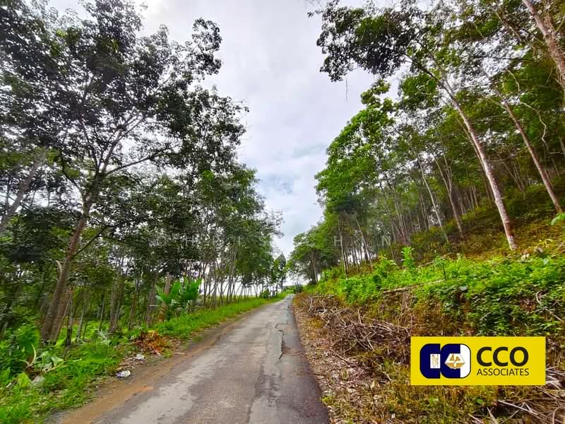 Agricultural Land for Sale in Kampung Baru Sauk (Chegar Galah) - Chris Chin - Exterior - PropertyGuru.com.my