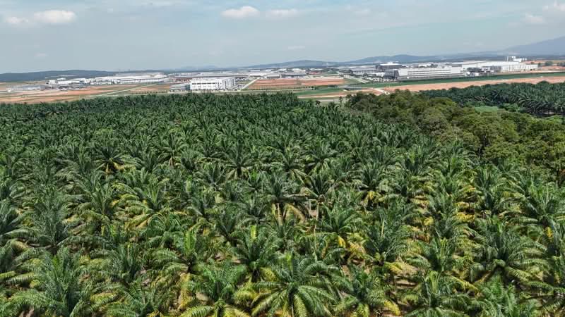 Tanah Pertanian untuk Dijual di Senai (Johor) - Jessie Tan - Exterior - PropertyGuru.com.my