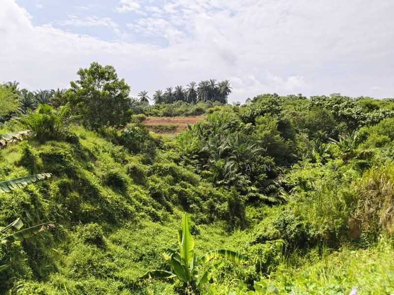 Tanah Pertanian untuk Dijual di Kulai (Johor) - Jessie Tan - Exterior - PropertyGuru.com.my