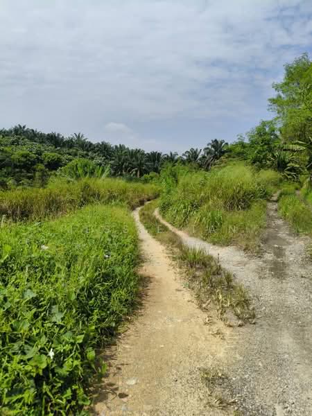 Tanah Pertanian untuk Dijual di Kulai (Johor) - Jessie Tan - Exterior - PropertyGuru.com.my