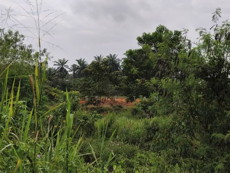 Tanah Pertanian untuk Dijual di Kulai (Johor) - Jessie Tan - Exterior - PropertyGuru.com.my