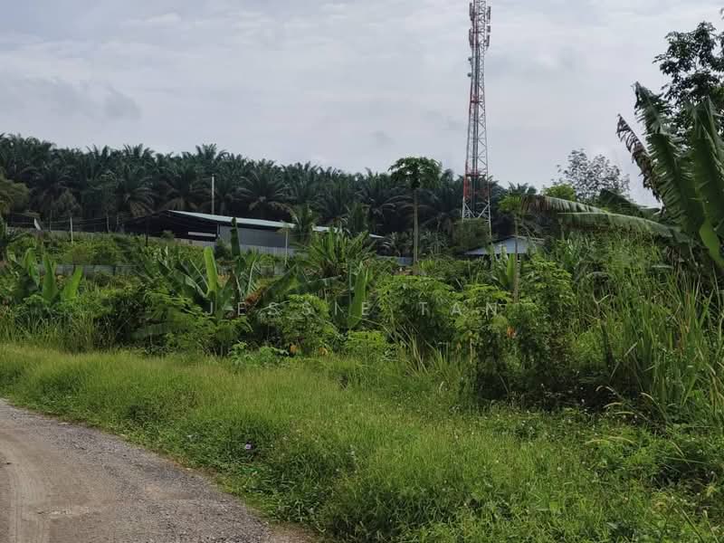 Tanah Pertanian untuk Dijual di Kulai (Johor) - Jessie Tan - Exterior - PropertyGuru.com.my