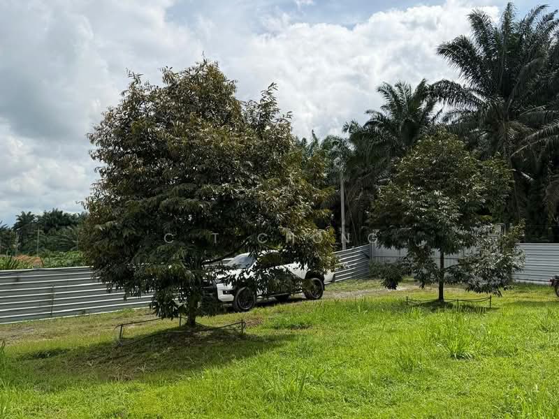 Tanah Pertanian untuk Dijual di Kampung Baru Ban Foo (Ulu Tiram) - C.T Chong - Exterior - PropertyGuru.com.my