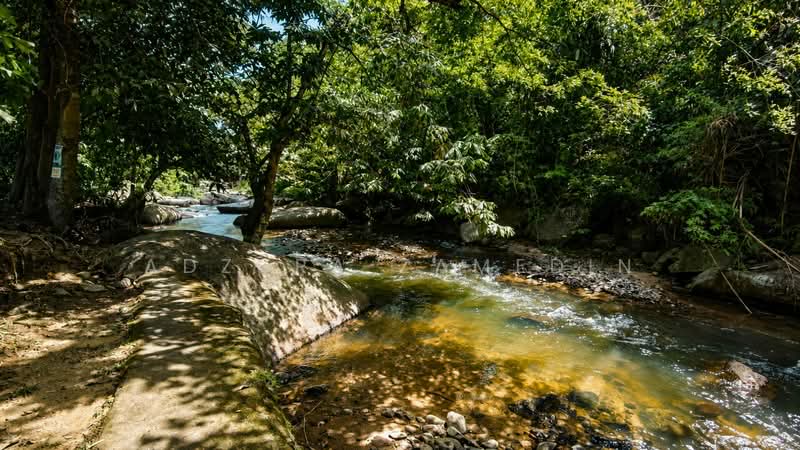 Lain-lain untuk Dijual di Janda Baik (Bentong) - Adzura Zamedin - Exterior - PropertyGuru.com.my