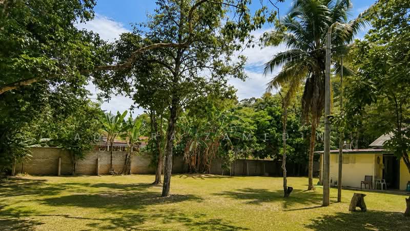 Lain-lain untuk Dijual di Janda Baik (Bentong) - Adzura Zamedin - Garden - PropertyGuru.com.my