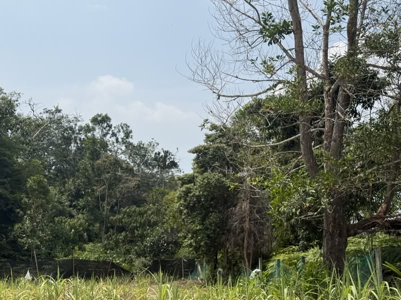 Residential Land for Sale in Sikamat (Negeri Sembilan) - John Khoo - PropertyGuru.com.my