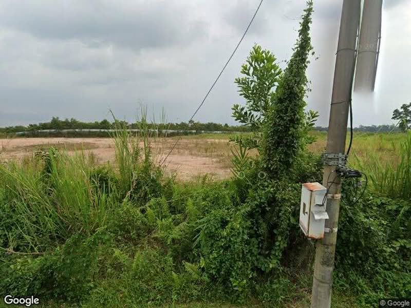 Agricultural Land for Sale in Yong Peng (Johor) - Eric Loo - PropertyGuru.com.my