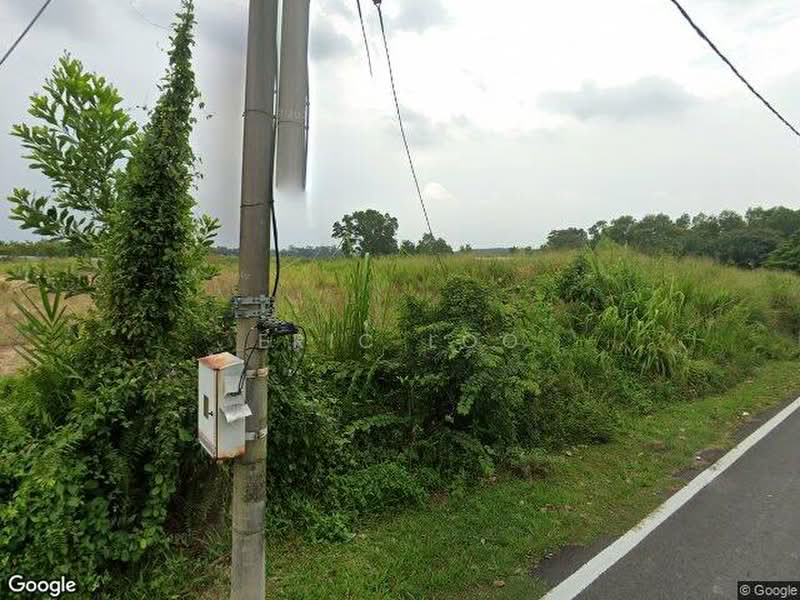 Agricultural Land for Sale in Yong Peng (Johor) - Eric Loo - PropertyGuru.com.my