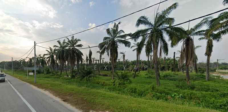 Tanah Pertanian untuk Dijual di Ijok (Selangor) - Alex Yap - Exterior - PropertyGuru.com.my