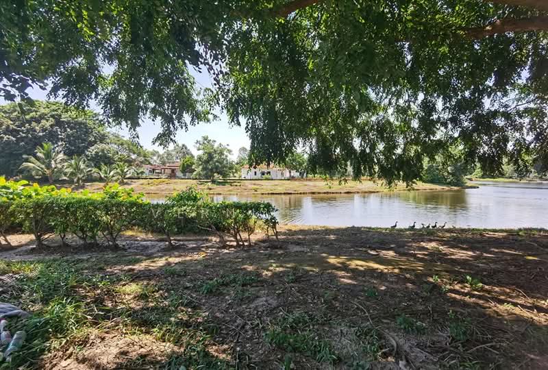 Bungalow House for Sale in Pantai Sepang Putra (Sepang) - Vernice Ng - Garden - PropertyGuru.com.my