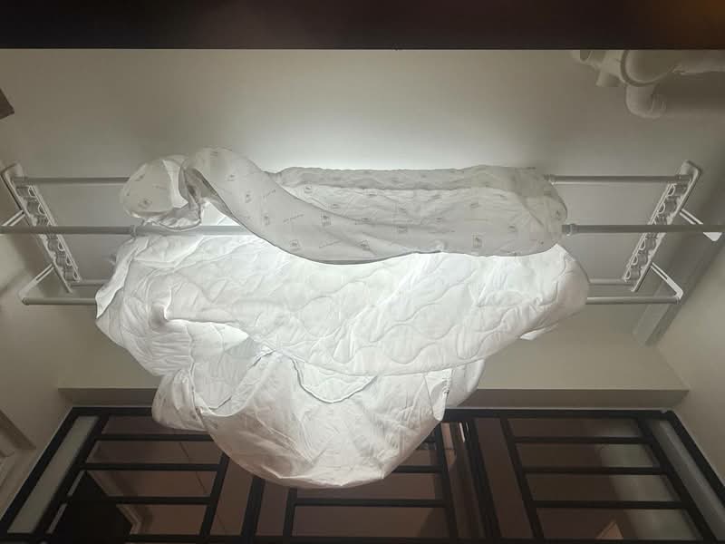 Service Residence for Rent at TRELLIS RESIDENCES - Nick Low - PropertyGuru.com.my
