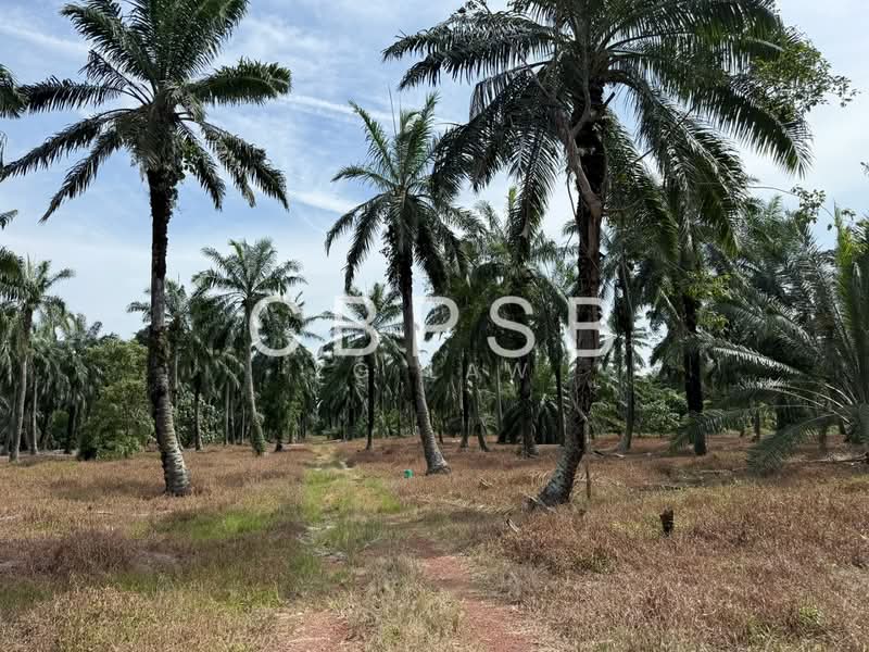Agricultural Land for Sale in Kampung Linau Besar (Batu Pahat) - ZG Law - PropertyGuru.com.my