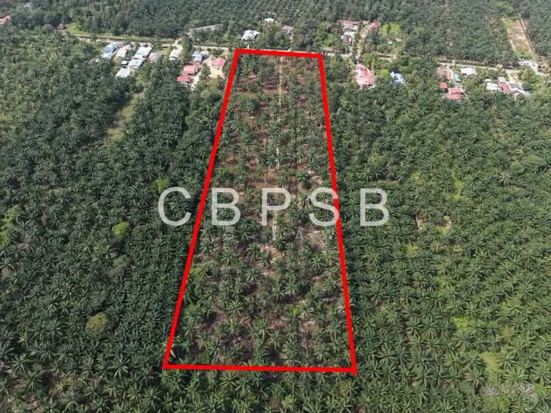Agricultural Land for Sale in Kampung Linau Besar (Batu Pahat) - ZG Law - PropertyGuru.com.my