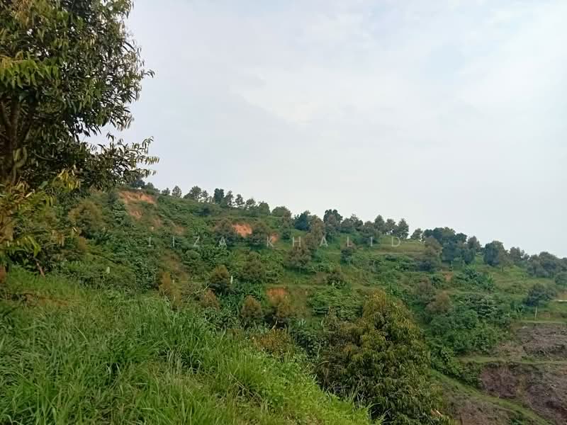 Agricultural Land for Sale in Rasa (Selangor) - Liza Khalid - PropertyGuru.com.my