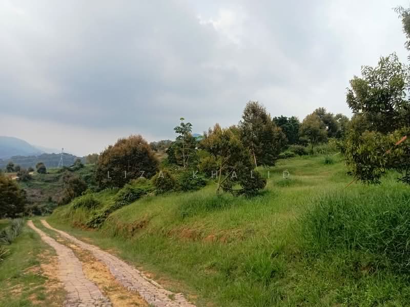 Agricultural Land for Sale in Rasa (Selangor) - Liza Khalid - PropertyGuru.com.my