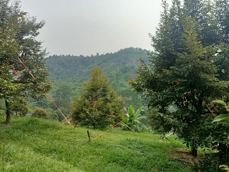 Agricultural Land for Sale in Rasa (Selangor) - Liza Khalid - PropertyGuru.com.my