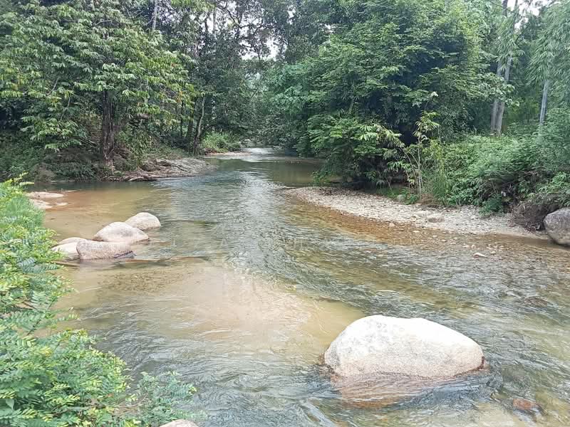 Agricultural Land for Sale in Rasa (Selangor) - Liza Khalid - PropertyGuru.com.my