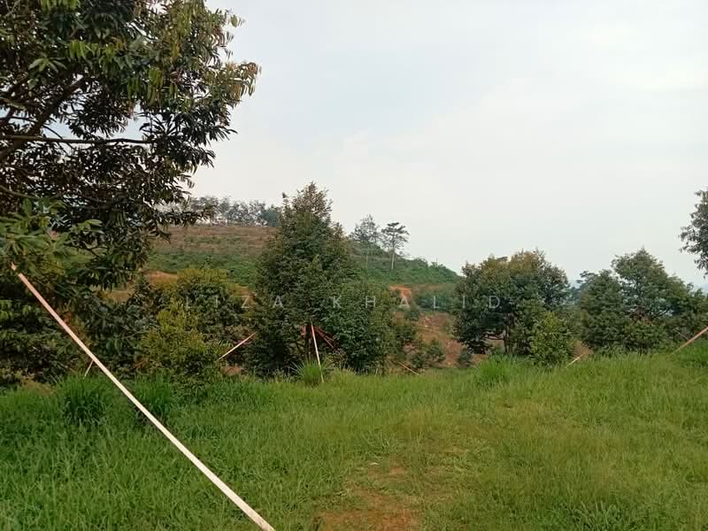 Agricultural Land for Sale in Rasa (Selangor) - Liza Khalid - PropertyGuru.com.my