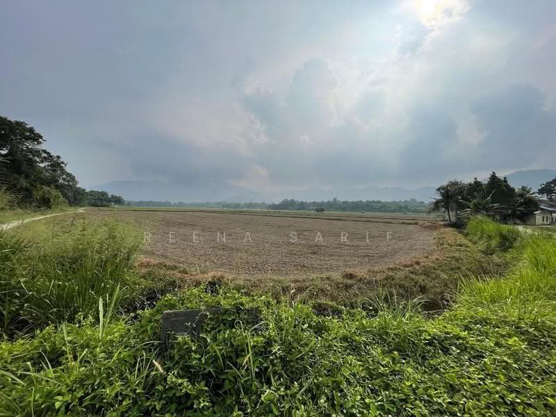 Tanah Kediaman untuk Dijual di Sungai Burong (Balik Pulau) - Reena Sarif - Exterior - PropertyGuru.com.my