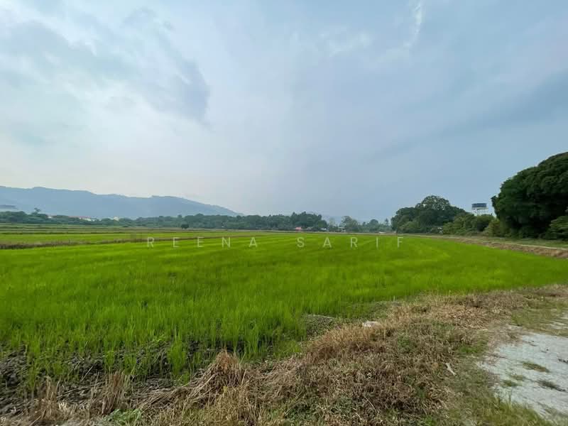 Tanah Kediaman untuk Dijual di Sungai Burong (Balik Pulau) - Reena Sarif - Exterior - PropertyGuru.com.my