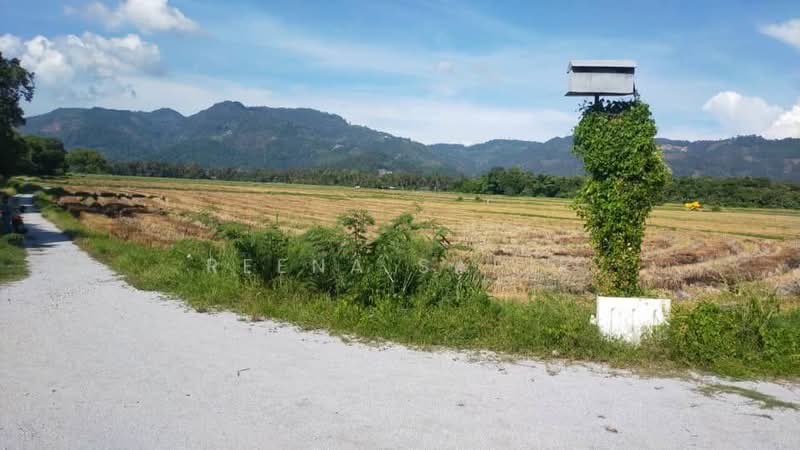 Tanah Kediaman untuk Dijual di Sungai Burong (Balik Pulau) - Reena Sarif - Exterior - PropertyGuru.com.my