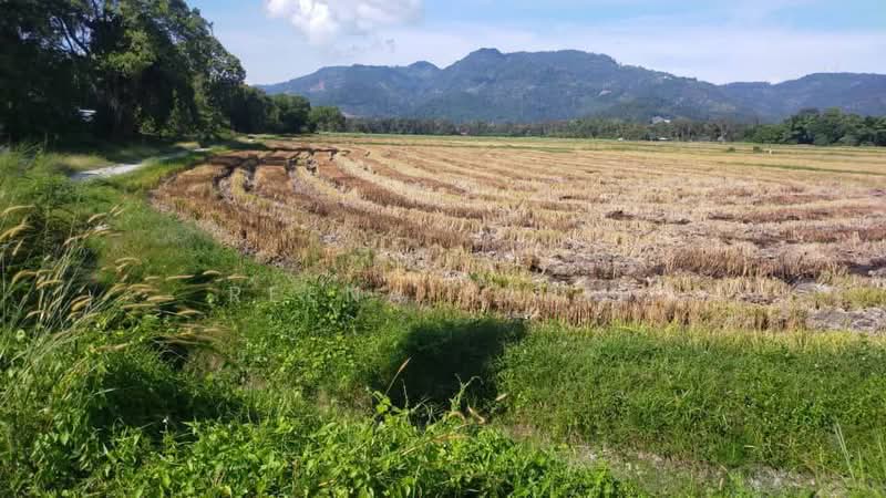Tanah Kediaman untuk Dijual di Sungai Burong (Balik Pulau) - Reena Sarif - Exterior - PropertyGuru.com.my