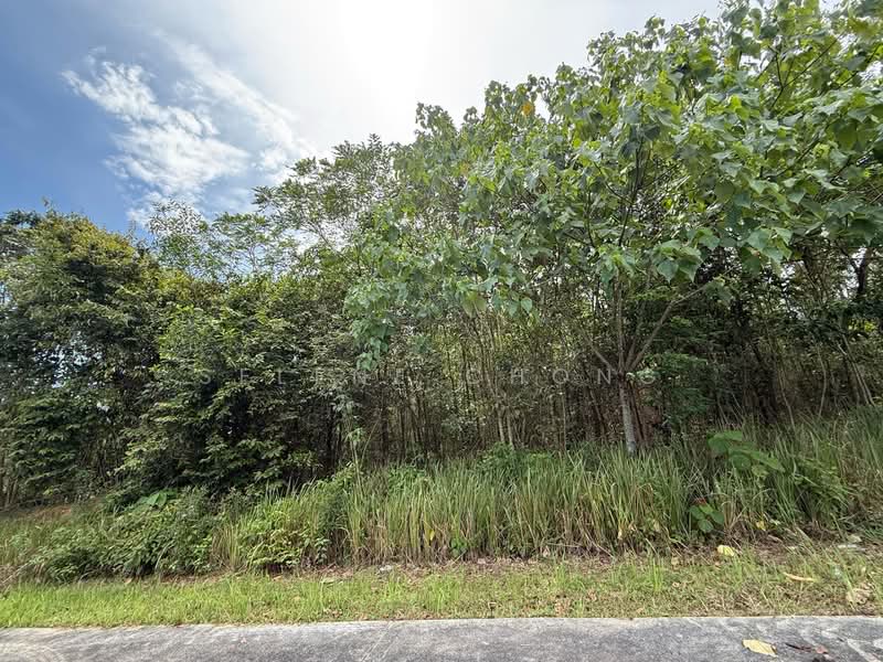 Tanah Kediaman untuk Dijual di Bayu Lakehomes (Mantin) - Selene Chong - Exterior - PropertyGuru.com.my