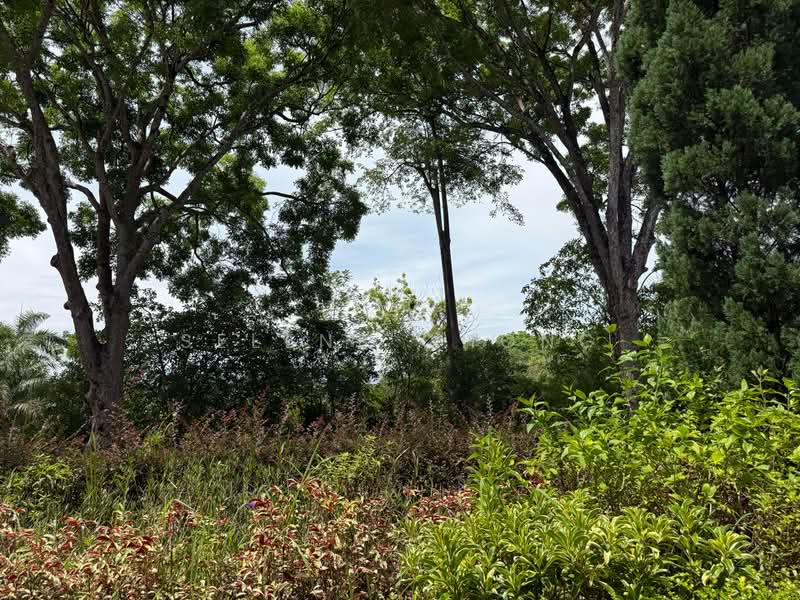 Tanah Kediaman untuk Dijual di Bayu Lakehomes (Mantin) - Selene Chong - Garden - PropertyGuru.com.my