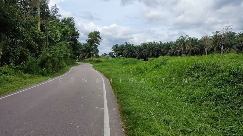 Agricultural Land for Sale in Kluang (Johor) - Seowamiga Ten - Exterior - PropertyGuru.com.my