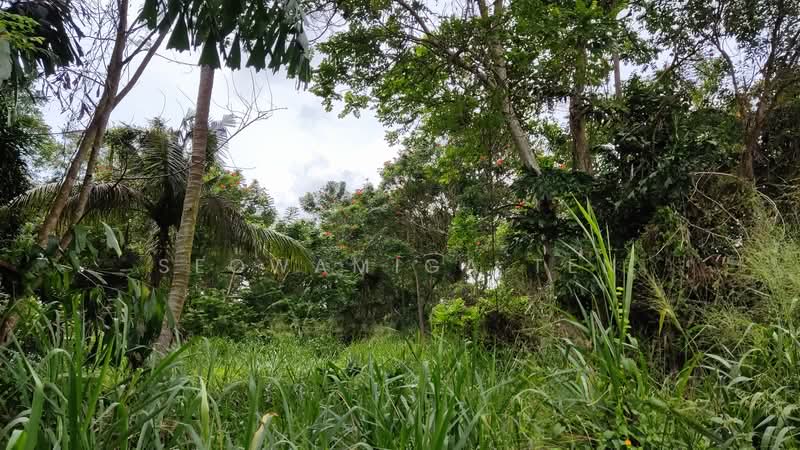 Agricultural Land for Sale in Kluang (Johor) - Seowamiga Ten - Exterior - PropertyGuru.com.my