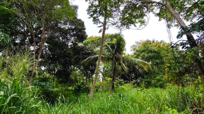 Agricultural Land for Sale in Kluang (Johor) - Seowamiga Ten - Exterior - PropertyGuru.com.my