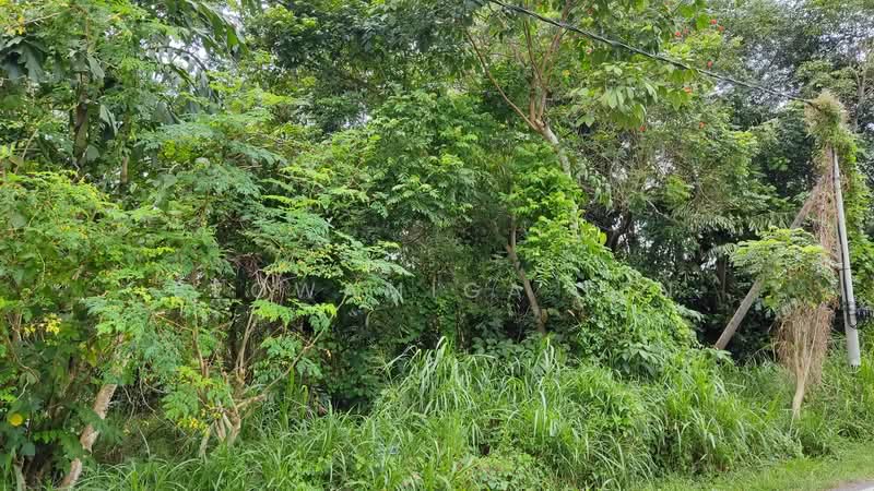 Agricultural Land for Sale in Kluang (Johor) - Seowamiga Ten - Exterior - PropertyGuru.com.my