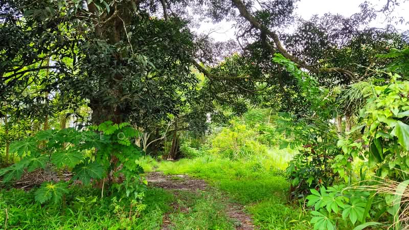 Agricultural Land for Sale in Kluang (Johor) - Seowamiga Ten - Exterior - PropertyGuru.com.my