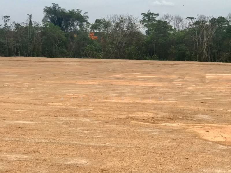 Industrial Land for Sale in Pusat Perindustrian Tanjung Pelepas (Gelang Patah) - Alexius Lim - Exterior - PropertyGuru.com.my