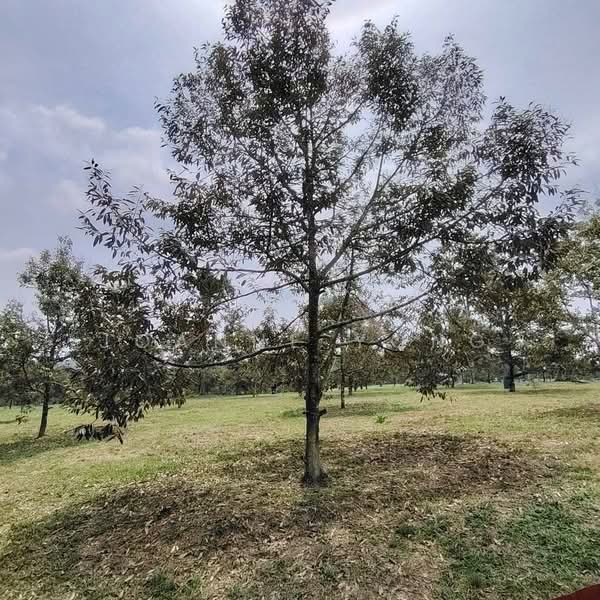 Tanah Kediaman untuk Dijual di Ulu Tiram (Johor) - Joanne Yong - Garden - PropertyGuru.com.my