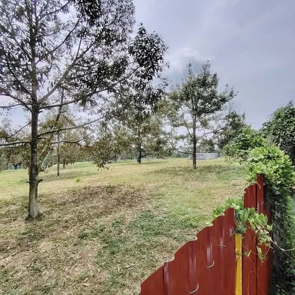 Tanah Kediaman untuk Dijual di Ulu Tiram (Johor) - Joanne Yong - Garden - PropertyGuru.com.my