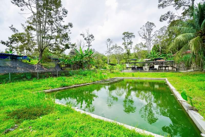 Tanah Pertanian untuk Dijual di Raub (Pahang) - Izzaza Izzati - Exterior - PropertyGuru.com.my