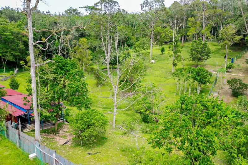 Tanah Pertanian untuk Dijual di Raub (Pahang) - Izzaza Izzati - Exterior - PropertyGuru.com.my