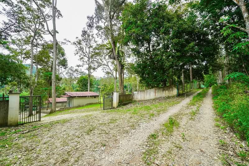 Tanah Pertanian untuk Dijual di Raub (Pahang) - Izzaza Izzati - Exterior - PropertyGuru.com.my