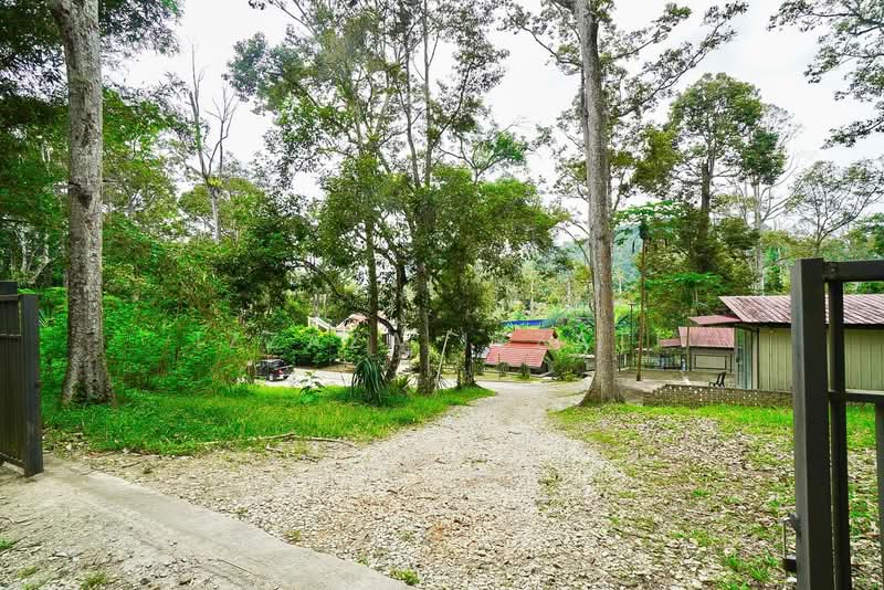 Tanah Pertanian untuk Dijual di Raub (Pahang) - Izzaza Izzati - Exterior - PropertyGuru.com.my