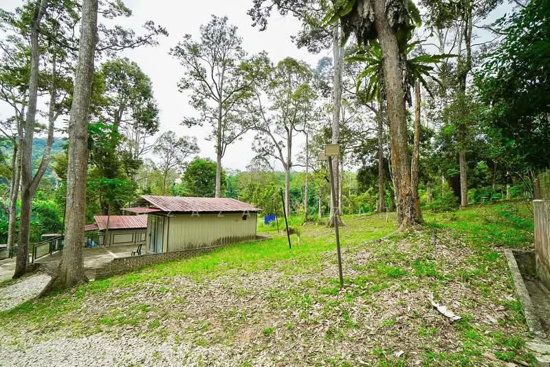 Tanah Pertanian untuk Dijual di Raub (Pahang) - Izzaza Izzati - Exterior - PropertyGuru.com.my