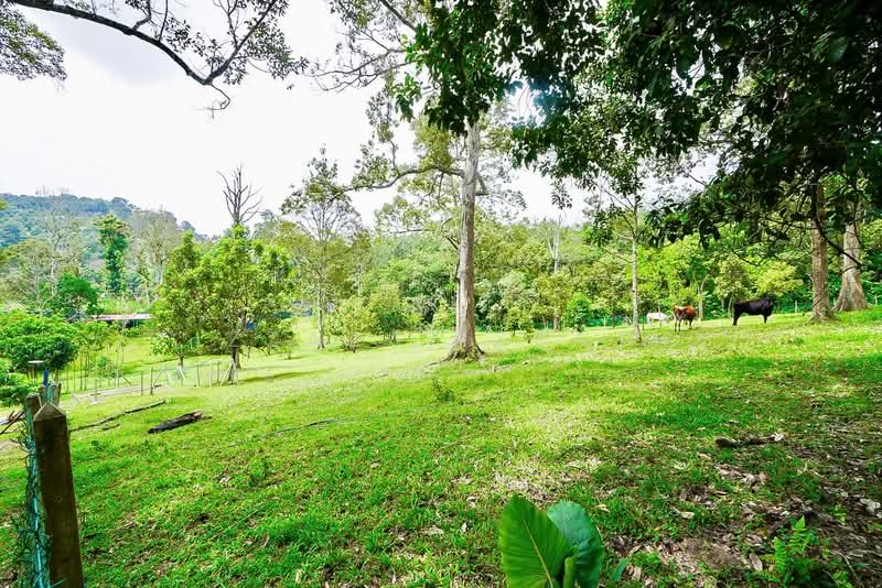 Tanah Pertanian untuk Dijual di Raub (Pahang) - Izzaza Izzati - Exterior - PropertyGuru.com.my