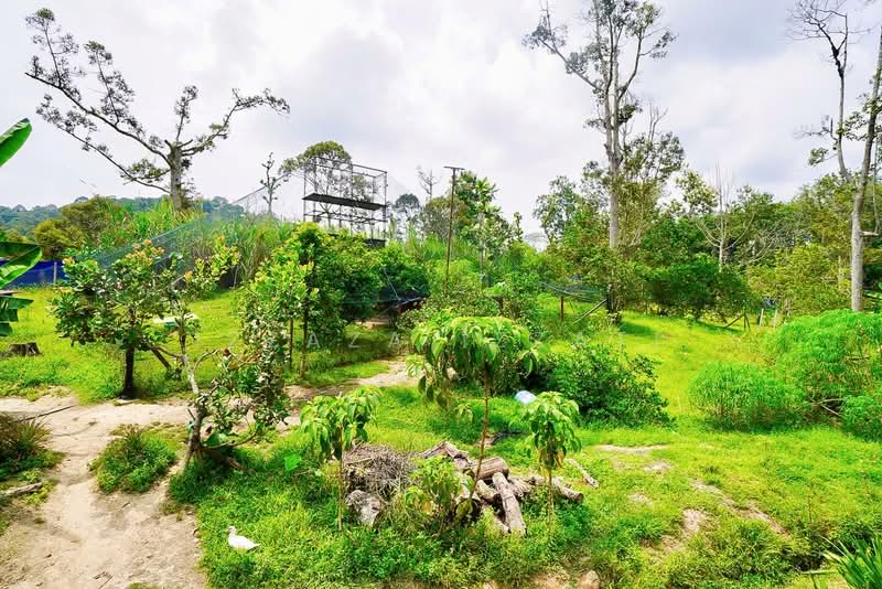 Tanah Pertanian untuk Dijual di Raub (Pahang) - Izzaza Izzati - Garden - PropertyGuru.com.my