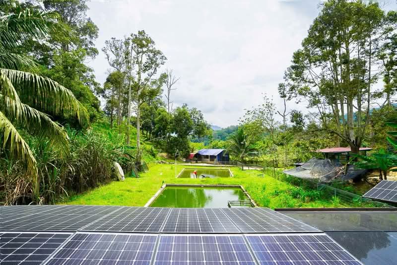 Tanah Pertanian untuk Dijual di Raub (Pahang) - Izzaza Izzati - Exterior - PropertyGuru.com.my
