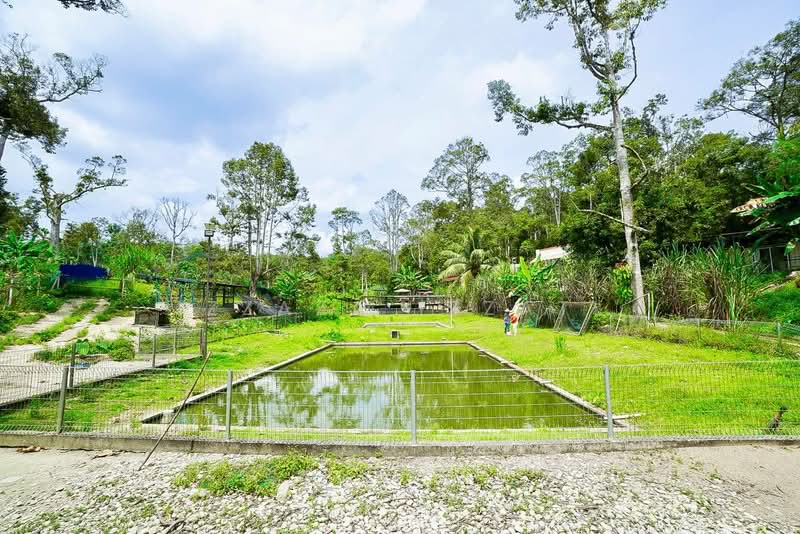 Tanah Pertanian untuk Dijual di Raub (Pahang) - Izzaza Izzati - Garden - PropertyGuru.com.my
