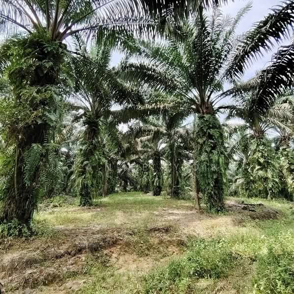 Tanah Perindustrian untuk Dijual di Ulu Tiram (Johor) - Joanne Yong - Exterior - PropertyGuru.com.my