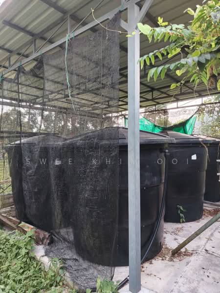 Tanah Pertanian untuk Dijual di Kulim (Kedah) - Swee Khim Ooi - Exterior - PropertyGuru.com.my