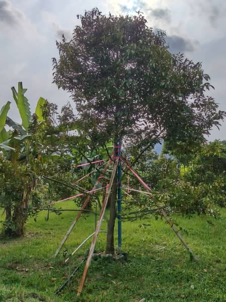 Tanah Pertanian untuk Dijual di Kulim (Kedah) - Swee Khim Ooi - Garden - PropertyGuru.com.my